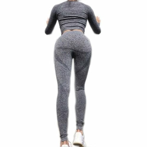 Seamless 2 Pcs Set Women Sport Suit Gym Workout Clothes Long Sleeve