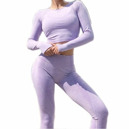 Seamless 2 Pcs Set Women Sport Suit Gym Workout Clothes Long Sleeve